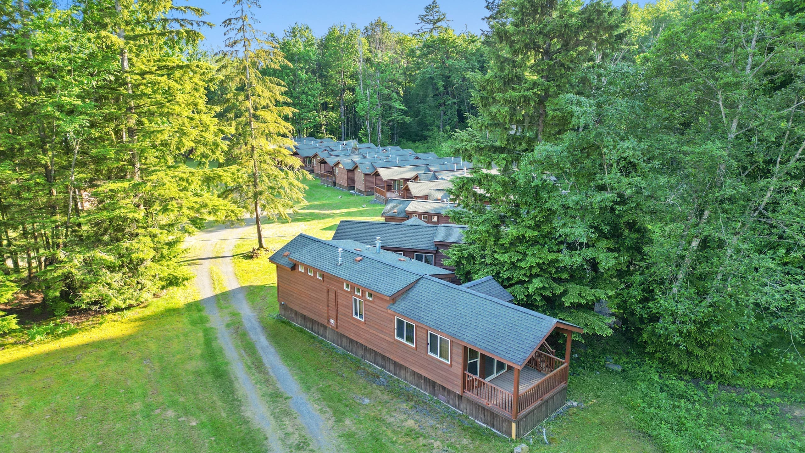 Aerial view of cedar cabins nestled among tall evergreens on the resort property
