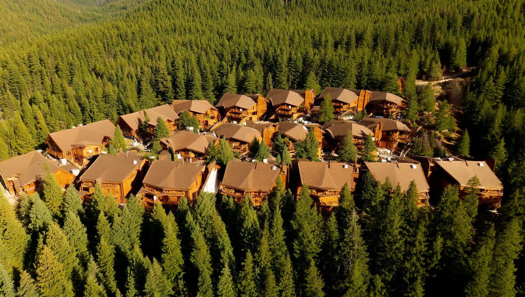 Aerial view of deluxe cedar cabins along the forest edge