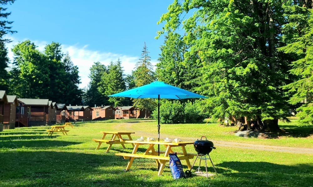 Picnic table with a blue umbrella and charcoal grill on the resort lawn